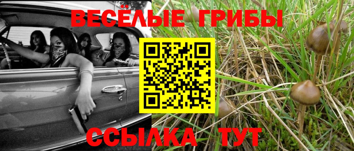 сколько стоит  Псилоцибиновые грибы мицелий  Вход с VPN  Псилоцибиновые грибы прущие грибы  Артёмовский 